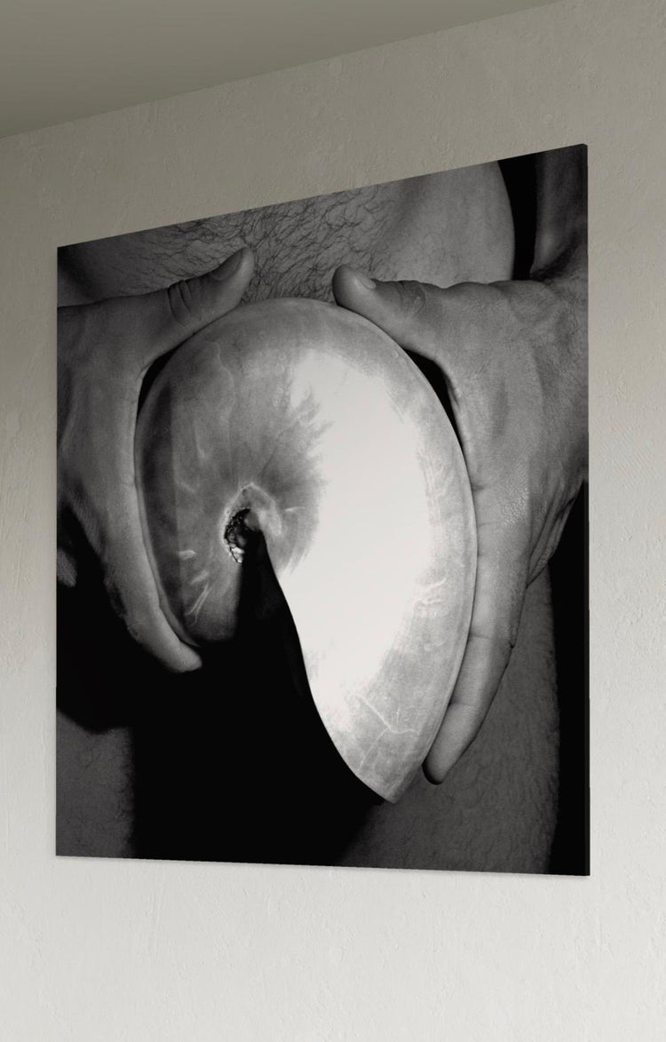 "Man with the Shell"