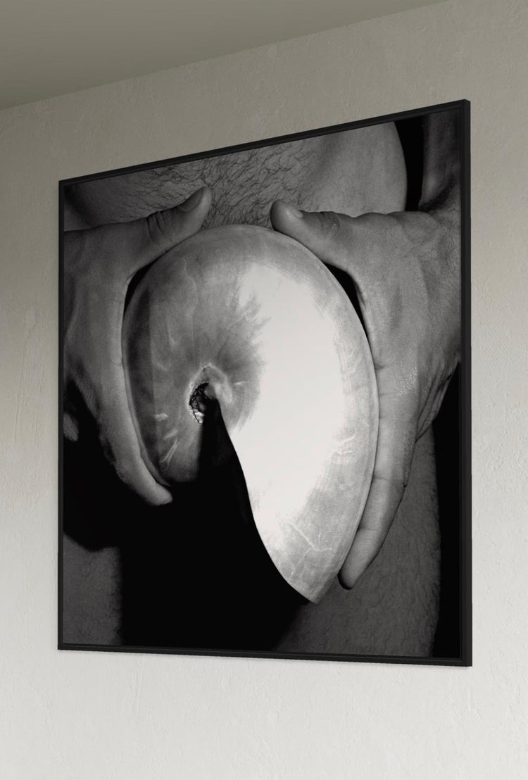 "Man with the Shell"