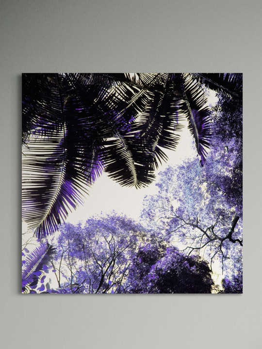 "Spring Purple"