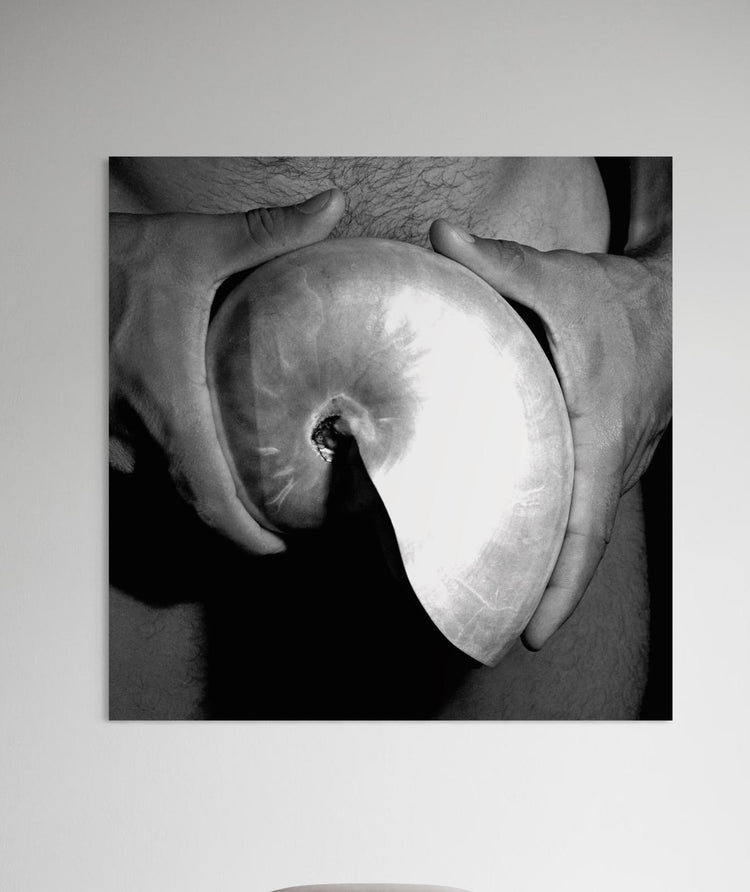 "Man with the Shell"