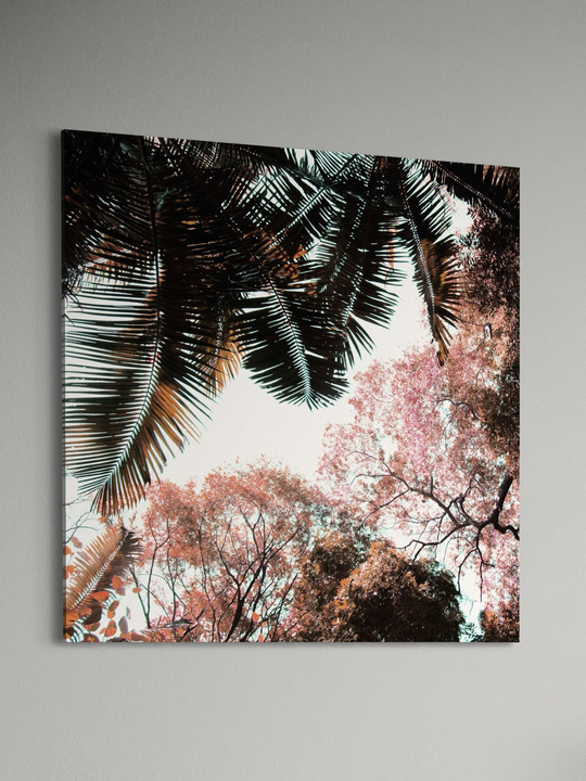 "Pink Spring"