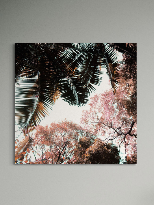 "Pink Spring"