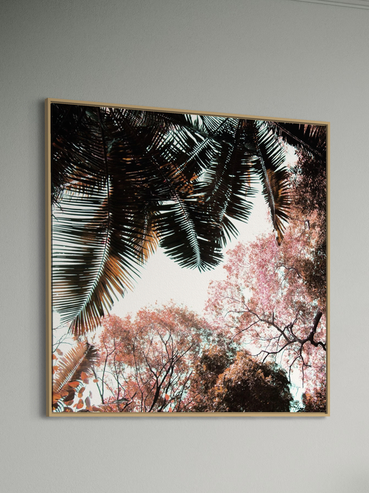 "Pink Spring"