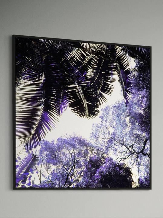"Spring Purple"