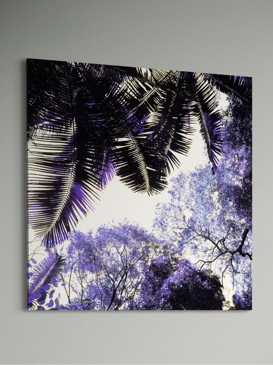 "Spring Purple"