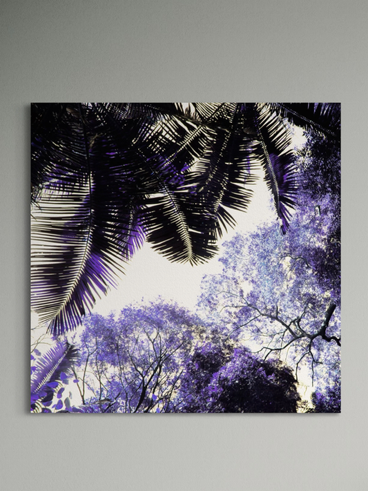 "Spring Purple"