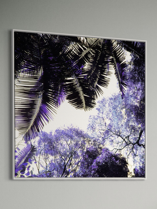 "Spring Purple"