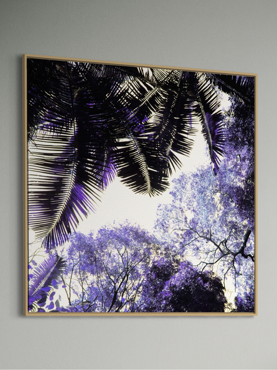 "Spring Purple"